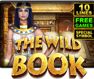 casino-online-promatic-games-the-wild-book-ikon-1